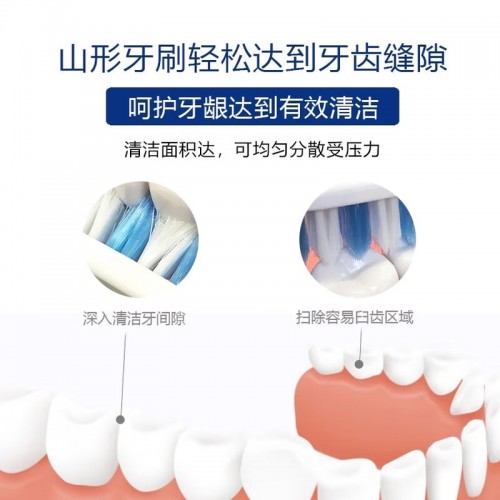 日本 狮王斜切柔软牙刷2 单支装_